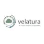 Velatura